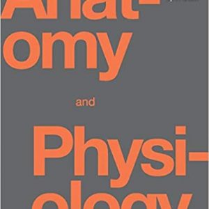 Solution Manual Anatomy and Physiology 1st Edition by Kelly A. Young