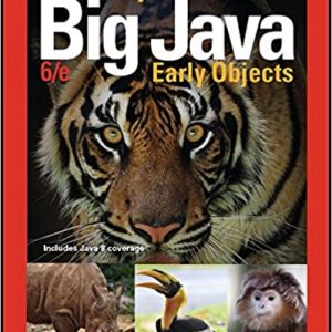 Solution Manual Big Java Early Objects 6th Edition 6th Edition by Cay S. Horstmann