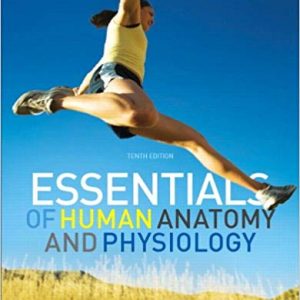 Solutions Manual for Essentials of Human Anatomy and Physiology 10th Edition by Elaine N. Marieb