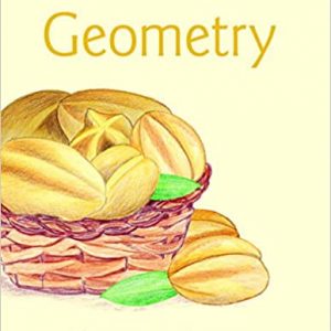 Solution Manual Geometry 1st Edition by Elayn Martin-Gay