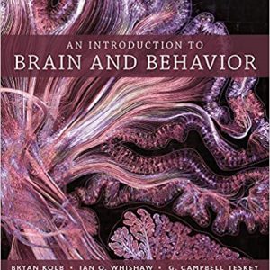 Test Bank An Introduction to Brain and Behavior 6th Edition by Bryan Kolb