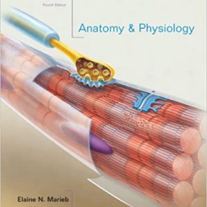 Test Bank Anatomy and Physiology 4th Edition by Elaine N. Marieb