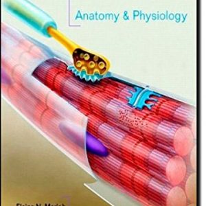 Test Bank Anatomy and Physiology with Interactive Physiology 4th Edition by Elaine N. Marieb