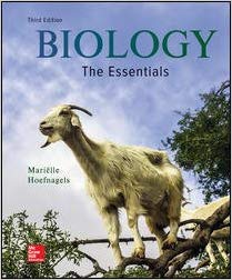 Test Bank Biology The Essentials 3rd Edition b Hoefnagels