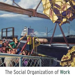 Test Bank The Social Organization of Work 5th Edition by Randy Hodson